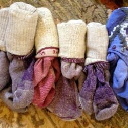 Sock collection