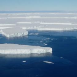 Icebergs vs. sea ice