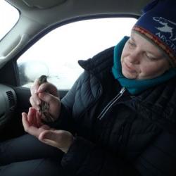 Melissa Lau holding a female longspur