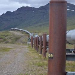 Alaskan Pipeline