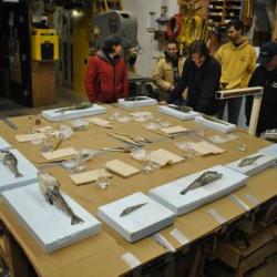 Fish Printing at Palmer Station, Antarctica