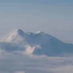 Mt. Denali