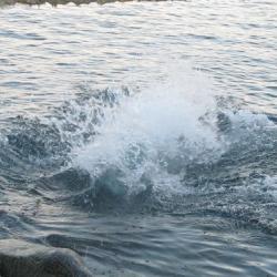 Paula takes a plunge in Antarctica