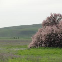 First Day of Spring