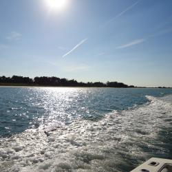 Wachapreague barrier islands