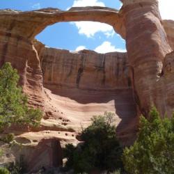 Rattlesnake Canyon arch