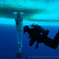 diver and observation tube