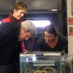 Kerry touch tank