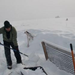 Shoveling the Fences