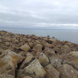 Rocky clifftops