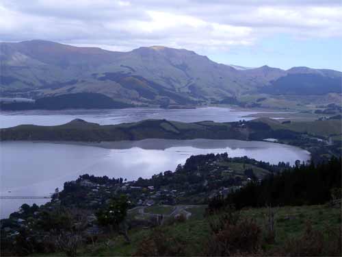 View of the harbor